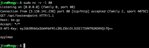 Incoming request on test server — origin confirmed as 3.138.141.238