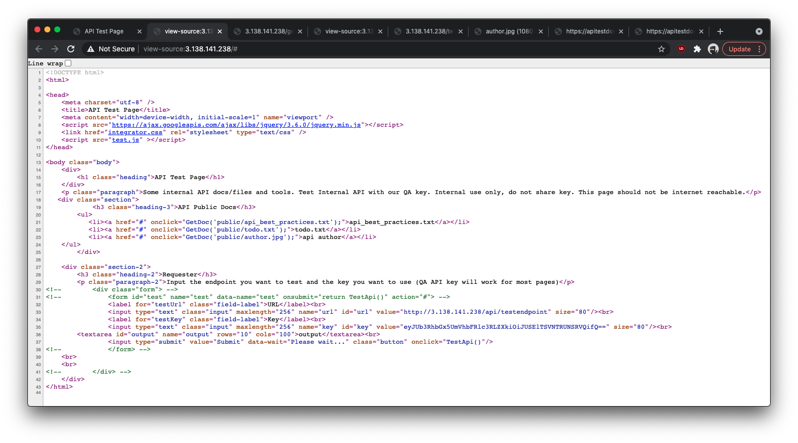 HTML source — hidden TestApi() call, GetDoc() links, and base64 key